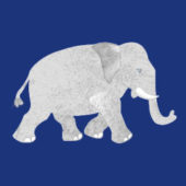 Elefant_Hoverbox