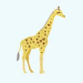 Giraffenklasse