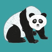 Pandaklasse