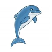 Delfin Clipart 1