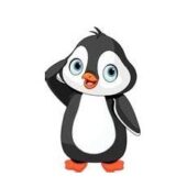 Pinguin Clipart