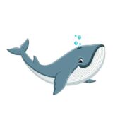 Wal Clipart